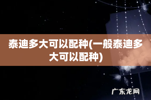 一般泰迪多大可以配种 泰迪多大可以配种