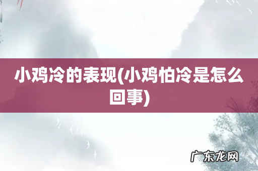 小鸡怕冷是怎么回事 小鸡冷的表现