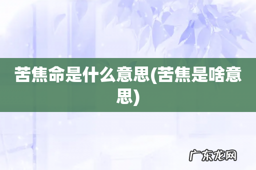 苦焦是啥意思 苦焦命是什么意思