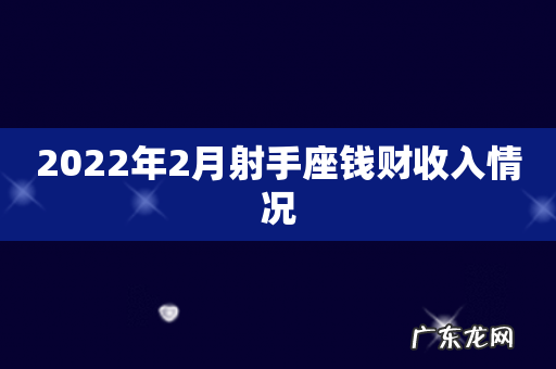 2022年2月射手座钱财收入情况