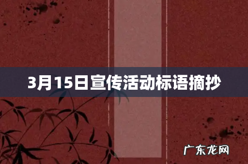 3月15日宣传活动标语摘抄