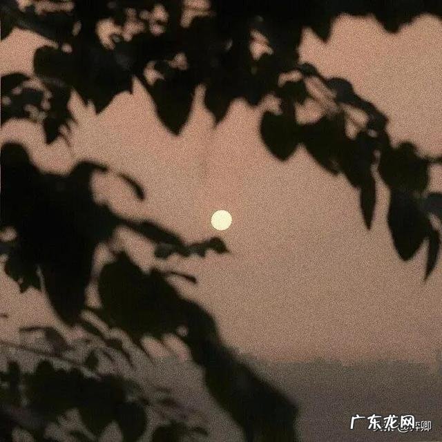 哪些好听的名字 微信什么网名好听