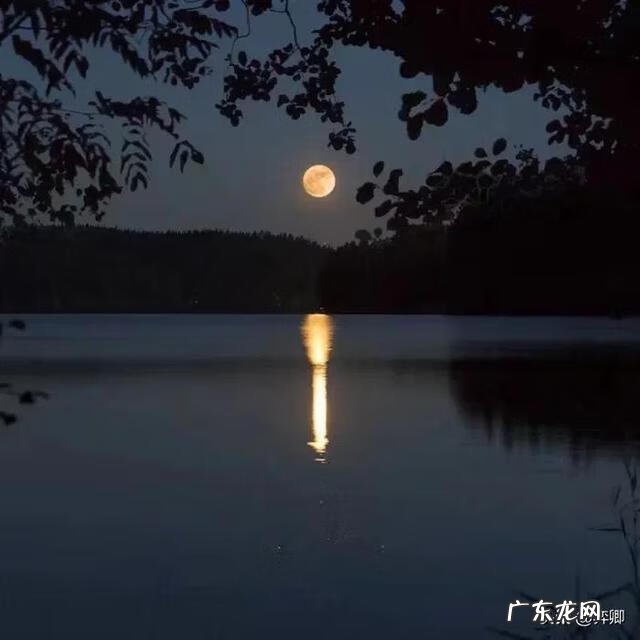 哪些好听的名字 微信什么网名好听