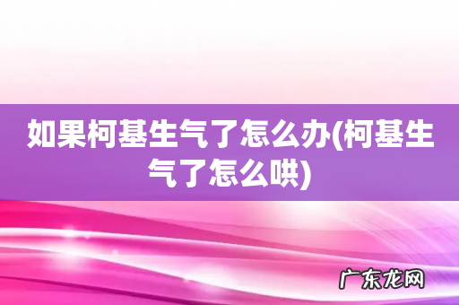 柯基生气了怎么哄 如果柯基生气了怎么办
