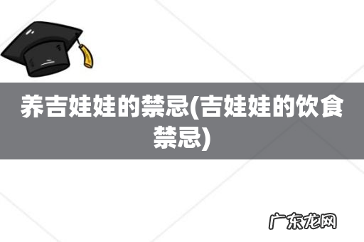 吉娃娃的饮食禁忌 养吉娃娃的禁忌