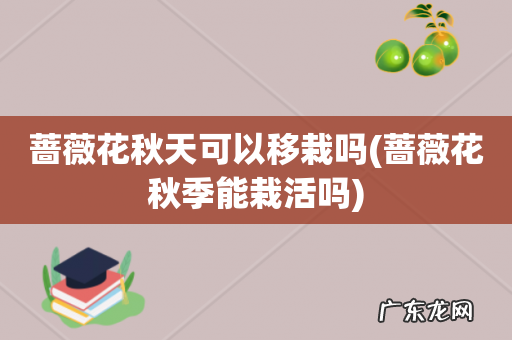 蔷薇花秋季能栽活吗 蔷薇花秋天可以移栽吗