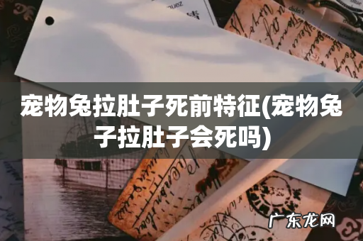 宠物兔子拉肚子会死吗 宠物兔拉肚子死前特征