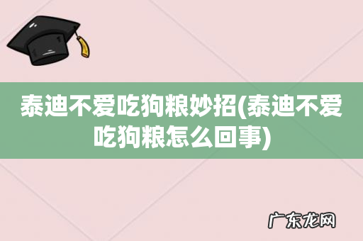 泰迪不爱吃狗粮怎么回事 泰迪不爱吃狗粮妙招