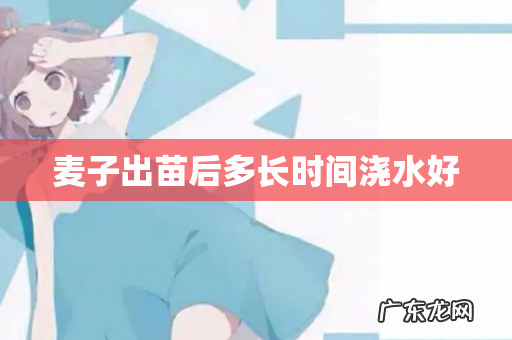 麦子出苗后多长时间浇水好