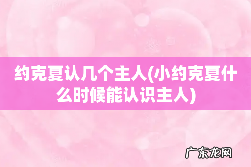 小约克夏什么时候能认识主人 约克夏认几个主人