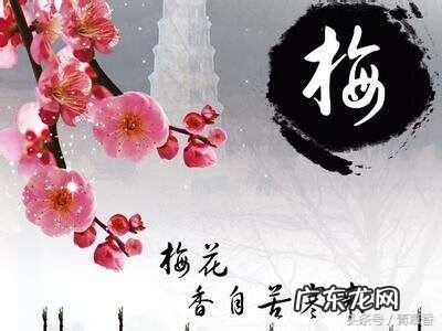 卦象风水 风水的卦象