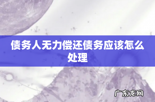 债务人无力偿还债务应该怎么处理