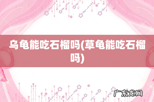 草龟能吃石榴吗 乌龟能吃石榴吗