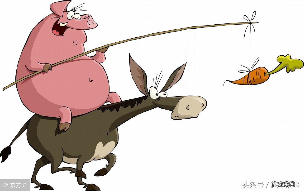 动物肝脏包括什么器官 动物肝脏图片