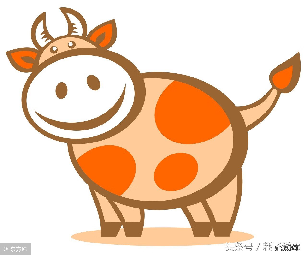 动物肝脏包括什么器官 动物肝脏图片