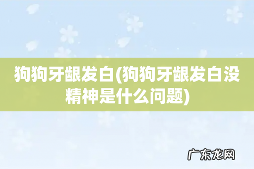 狗狗牙龈发白没精神是什么问题 狗狗牙龈发白