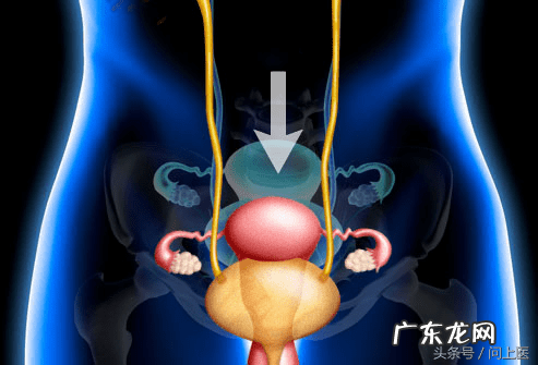 下腹盆腔坠痛 盆腔坠痛恶心