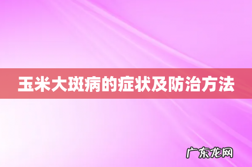 玉米大斑病的症状及防治方法