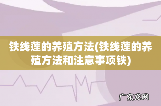 铁线莲的养殖方法和注意事项铁 铁线莲的养殖方法