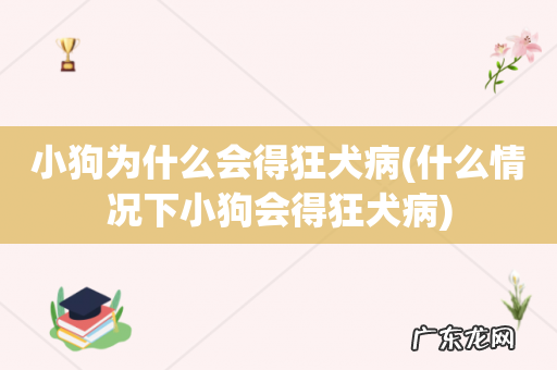 什么情况下小狗会得狂犬病 小狗为什么会得狂犬病