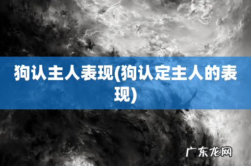 狗认定主人的表现 狗认主人表现
