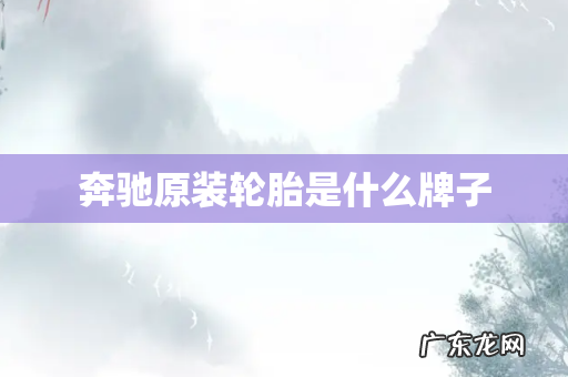 奔驰原装轮胎是什么牌子