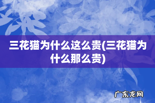 三花猫为什么那么贵 三花猫为什么这么贵