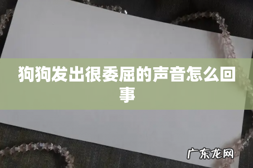 狗狗发出很委屈的声音怎么回事