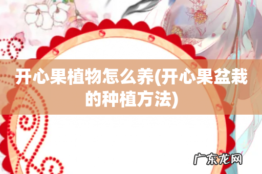 开心果盆栽的种植方法 开心果植物怎么养