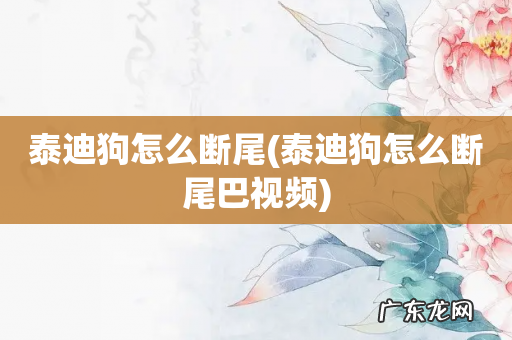 泰迪狗怎么断尾巴视频 泰迪狗怎么断尾