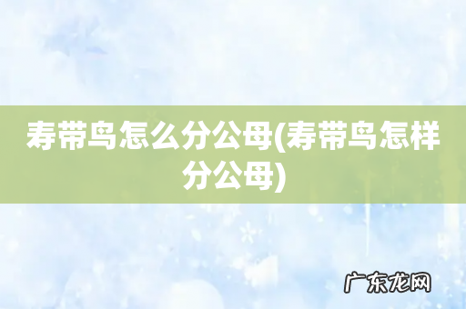 寿带鸟怎样分公母 寿带鸟怎么分公母