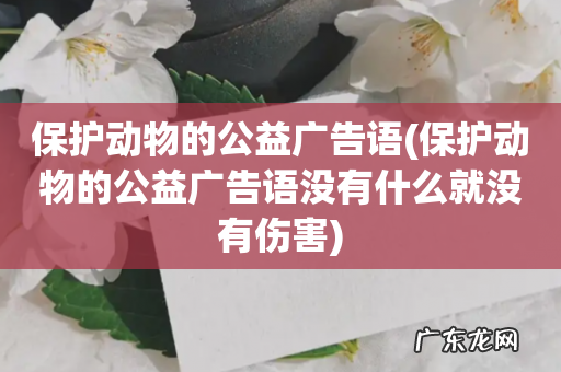 保护动物的公益广告语没有什么就没有伤害 保护动物的公益广告语