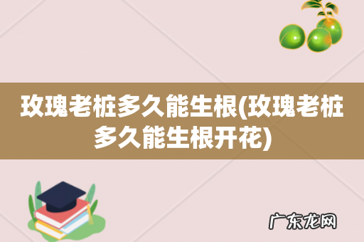 玫瑰老桩多久能生根开花 玫瑰老桩多久能生根