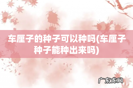 车厘子种子能种出来吗 车厘子的种子可以种吗