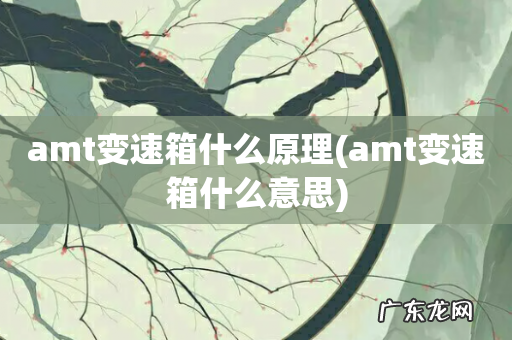 amt变速箱什么意思 amt变速箱什么原理