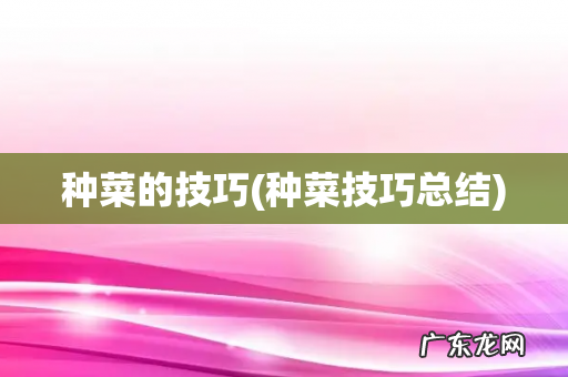 种菜技巧总结 种菜的技巧