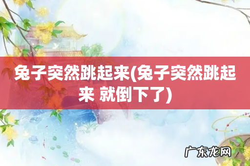 兔子突然跳起来 就倒下了 兔子突然跳起来