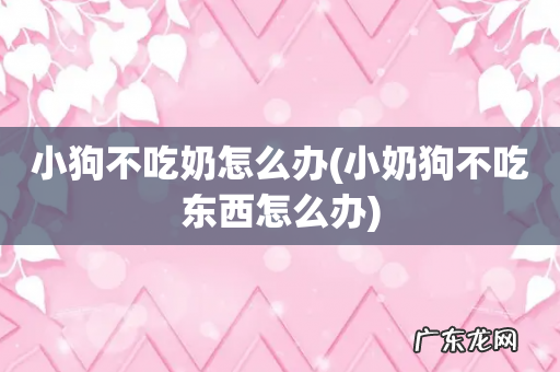 小奶狗不吃东西怎么办 小狗不吃奶怎么办