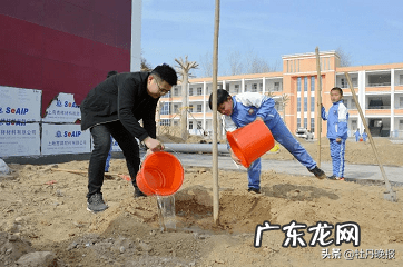 走我们一起去植树作文500字 走我们去植树课文