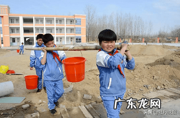 走我们一起去植树作文500字 走我们去植树课文