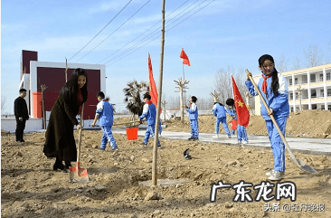 走我们一起去植树作文500字 走我们去植树课文