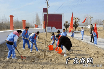 走我们一起去植树作文500字 走我们去植树课文