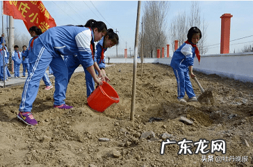 走我们一起去植树作文500字 走我们去植树课文