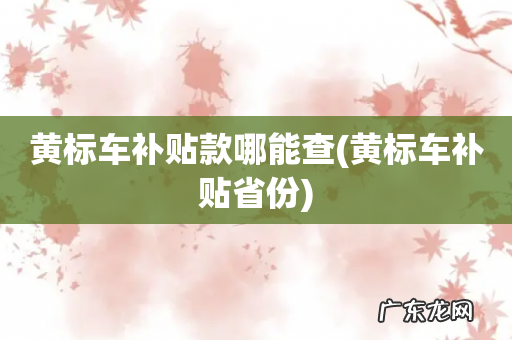 黄标车补贴省份 黄标车补贴款哪能查