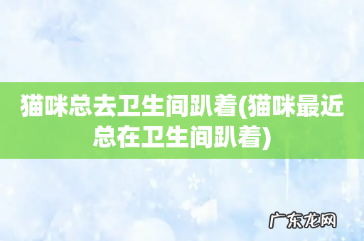 猫咪最近总在卫生间趴着 猫咪总去卫生间趴着