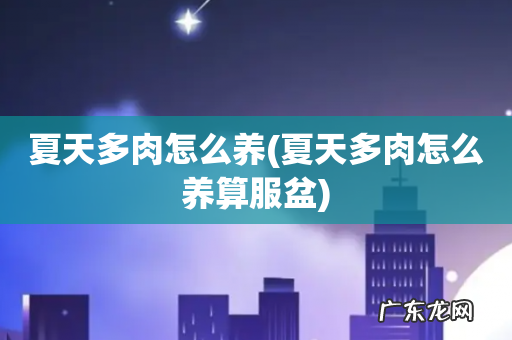 夏天多肉怎么养算服盆 夏天多肉怎么养