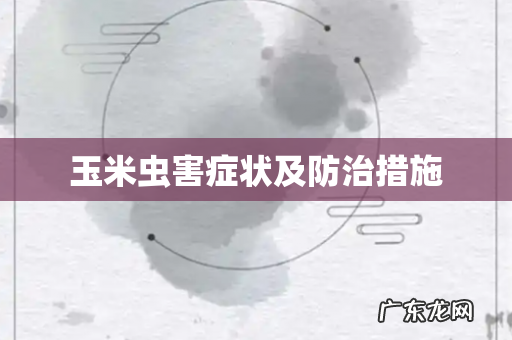 玉米虫害症状及防治措施