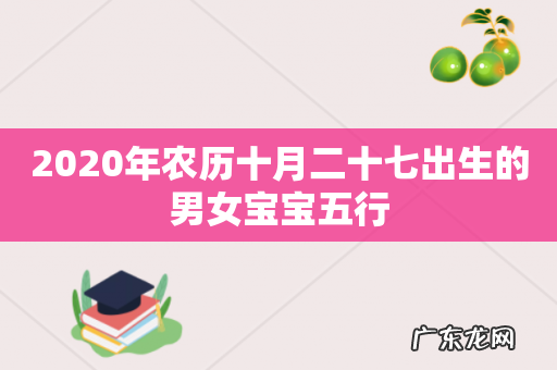2020年农历十月二十七出生的男女宝宝五行