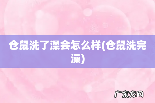 仓鼠洗完澡 仓鼠洗了澡会怎么样