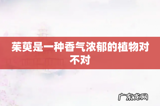 茱萸是一种香气浓郁的植物对不对